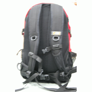 Back bags